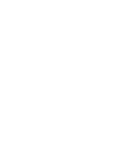 Logo blanc G2RD