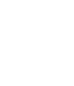 Logo blanc G2RD